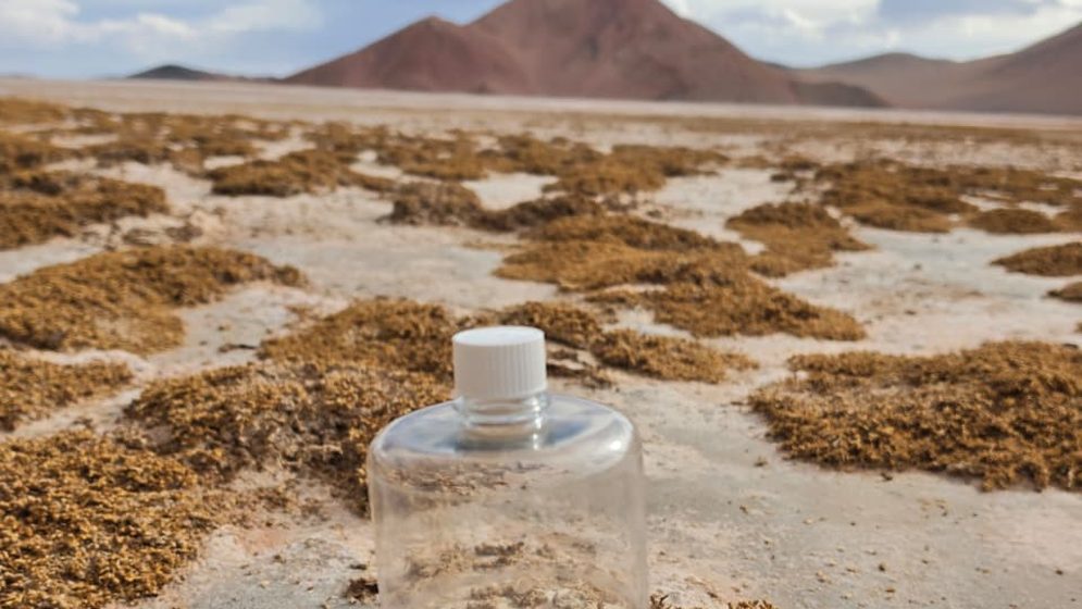 Frasco de muestreo Xtremophil CIME en tapete microbiano Salar de Arizaro Puna